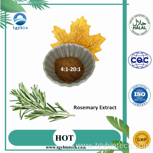 100% Natural Rosemary Extract Powder 98% Rosmarinic Acid